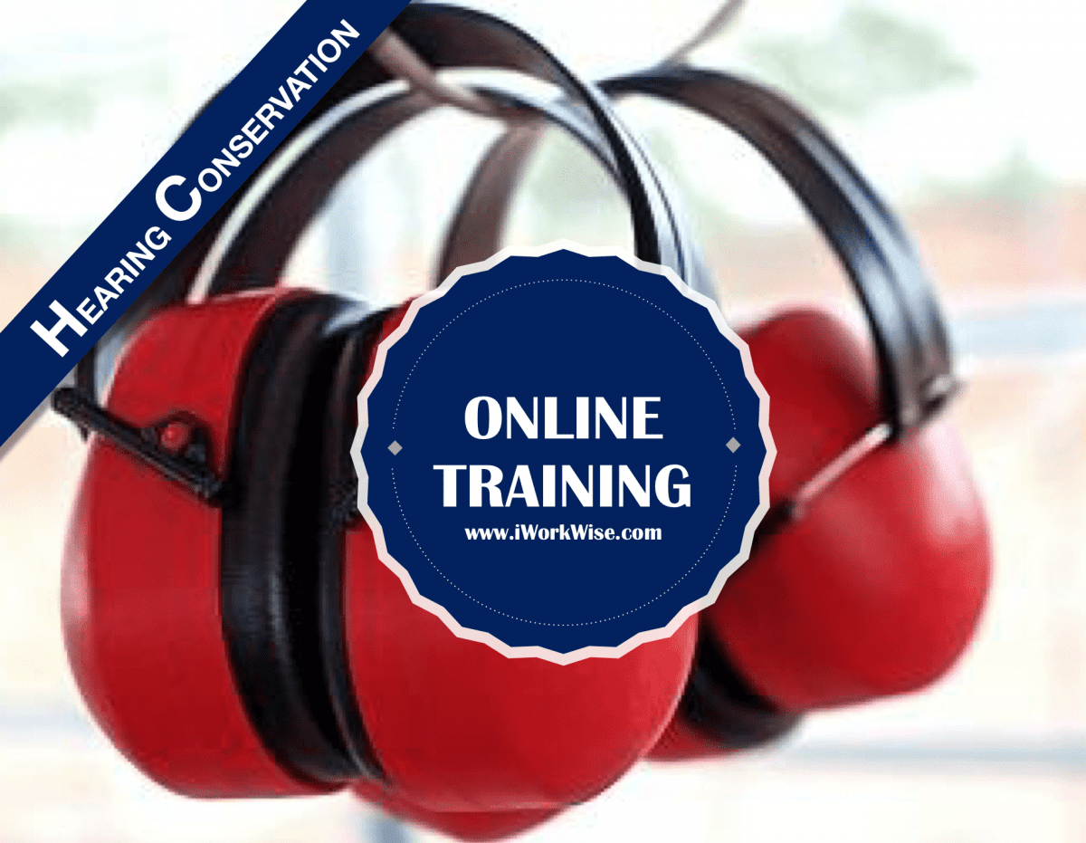 Hearing Conservation Online Training